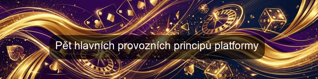 Pět hlavních provozních principů platformy